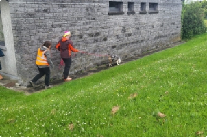 Pascaline et son élève accourent derrière un chien en train de suivre une piste